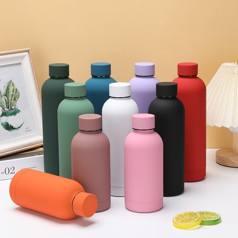 Double-Wall Stainless Steel Leak-proof Thermal Vacuum Flask